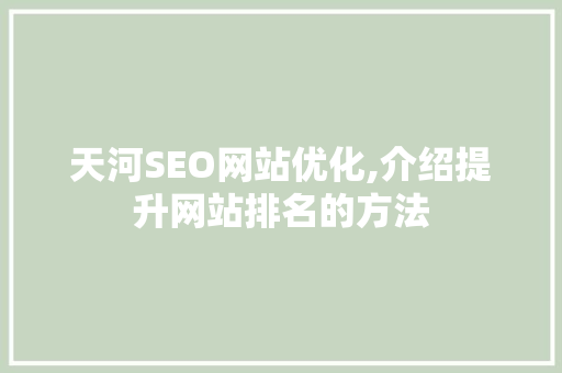 天河SEO网站优化,介绍提升网站排名的方法