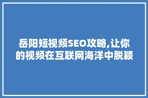 岳阳短视频SEO攻略,让你的视频在互联网海洋中脱颖而出