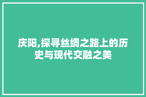 庆阳,探寻丝绸之路上的历史与现代交融之美