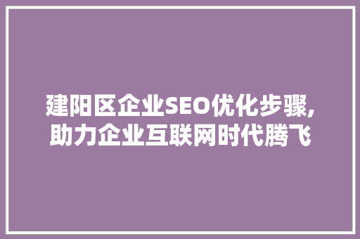 建阳区企业SEO优化步骤,助力企业互联网时代腾飞