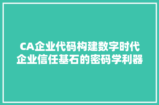 CA企业代码构建数字时代企业信任基石的密码学利器