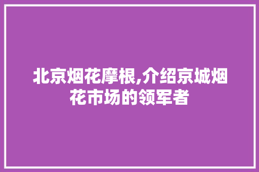 北京烟花摩根,介绍京城烟花市场的领军者