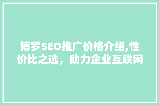 博罗SEO推广价格介绍,性价比之选，助力企业互联网腾飞