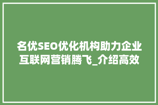 名优SEO优化机构助力企业互联网营销腾飞_介绍高效网络推广之路