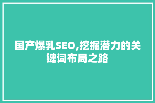 国产爆乳SEO,挖掘潜力的关键词布局之路