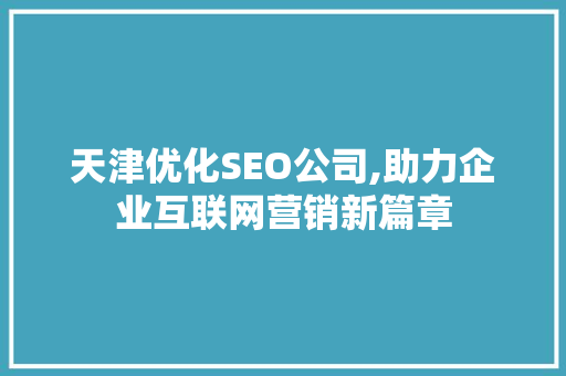 天津优化SEO公司,助力企业互联网营销新篇章