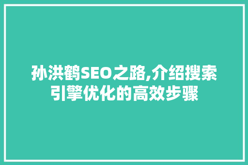 孙洪鹤SEO之路,介绍搜索引擎优化的高效步骤