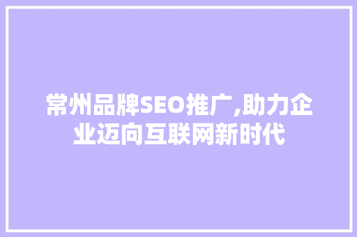 常州品牌SEO推广,助力企业迈向互联网新时代