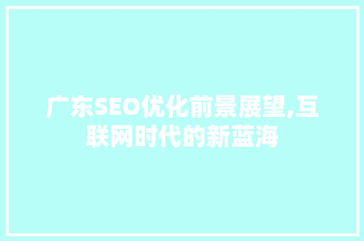 广东SEO优化前景展望,互联网时代的新蓝海