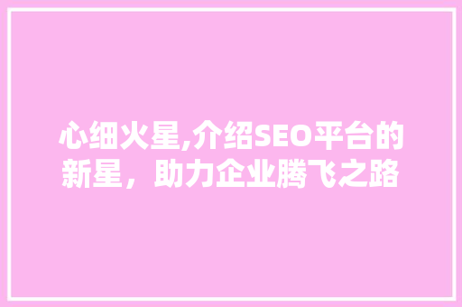 心细火星,介绍SEO平台的新星，助力企业腾飞之路