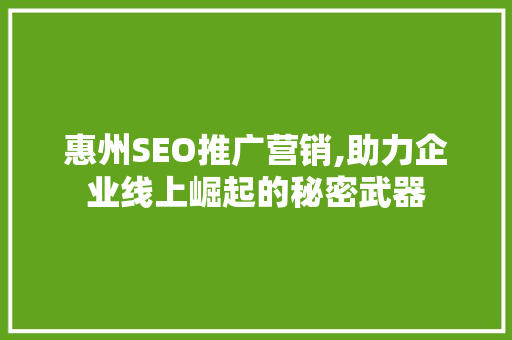 惠州SEO推广营销,助力企业线上崛起的秘密武器