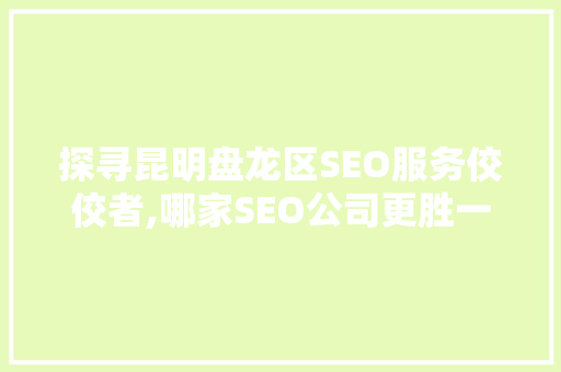 探寻昆明盘龙区SEO服务佼佼者,哪家SEO公司更胜一筹