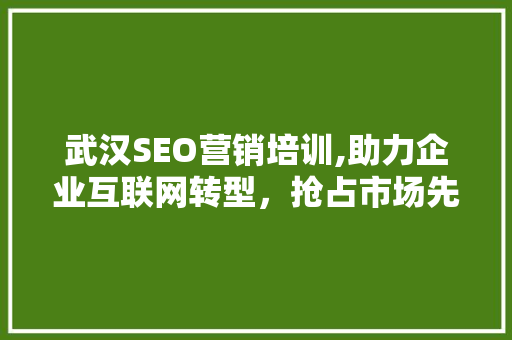 武汉SEO营销培训,助力企业互联网转型，抢占市场先机