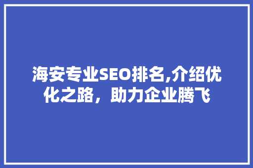 海安专业SEO排名,介绍优化之路，助力企业腾飞