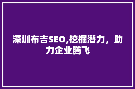 深圳布吉SEO,挖掘潜力，助力企业腾飞