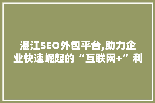 湛江SEO外包平台,助力企业快速崛起的“互联网+”利器
