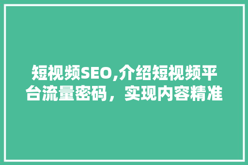 短视频SEO,介绍短视频平台流量密码，实现内容精准触达
