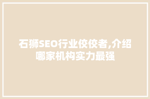 石狮SEO行业佼佼者,介绍哪家机构实力最强