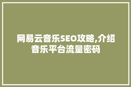 网易云音乐SEO攻略,介绍音乐平台流量密码