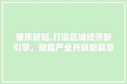 肇庆新站,打造区域经济新引擎，赋能产业升级新篇章
