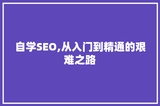 自学SEO,从入门到精通的艰难之路