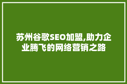 苏州谷歌SEO加盟,助力企业腾飞的网络营销之路