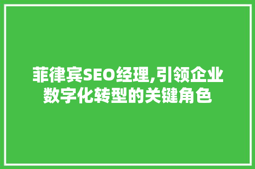 菲律宾SEO经理,引领企业数字化转型的关键角色