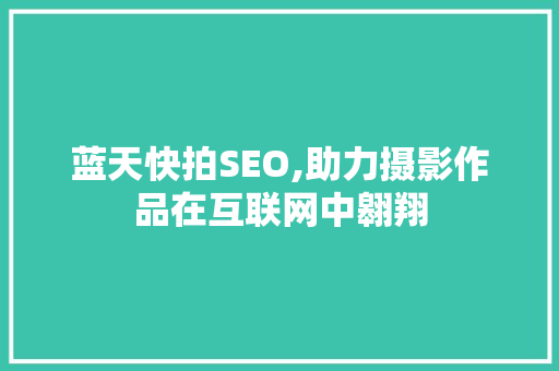 蓝天快拍SEO,助力摄影作品在互联网中翱翔
