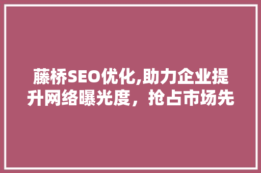 藤桥SEO优化,助力企业提升网络曝光度，抢占市场先机