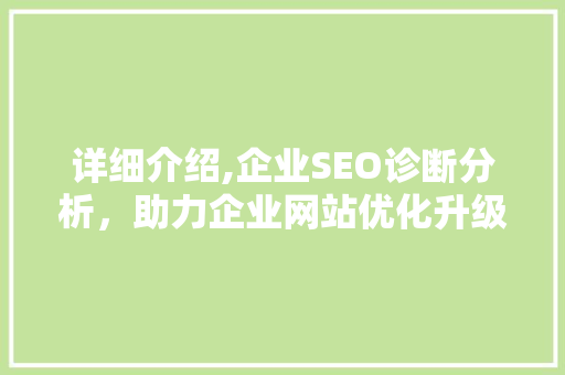 详细介绍,企业SEO诊断分析，助力企业网站优化升级