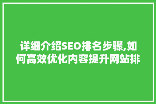 详细介绍SEO排名步骤,如何高效优化内容提升网站排名