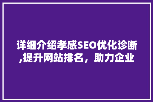 详细介绍孝感SEO优化诊断,提升网站排名，助力企业腾飞