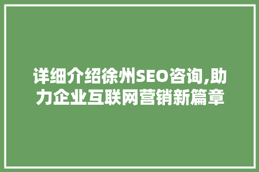 详细介绍徐州SEO咨询,助力企业互联网营销新篇章