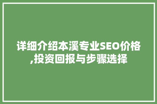 详细介绍本溪专业SEO价格,投资回报与步骤选择