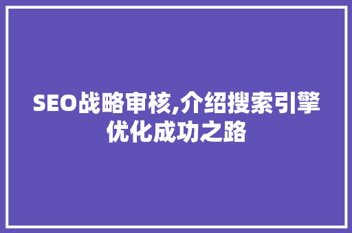 SEO战略审核,介绍搜索引擎优化成功之路