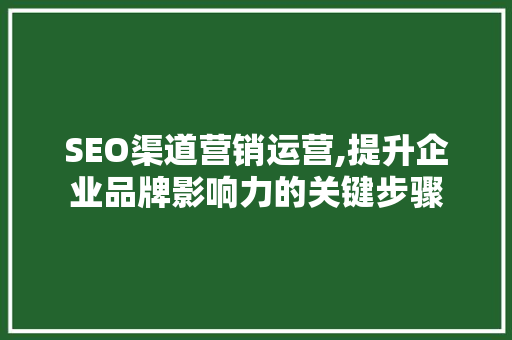 SEO渠道营销运营,提升企业品牌影响力的关键步骤