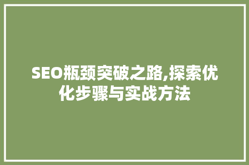 SEO瓶颈突破之路,探索优化步骤与实战方法  第1张