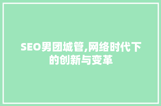SEO男团城管,网络时代下的创新与变革