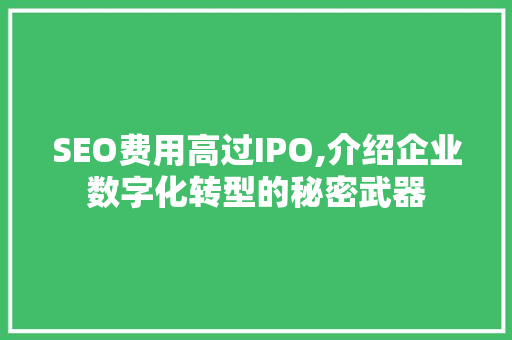 SEO费用高过IPO,介绍企业数字化转型的秘密武器