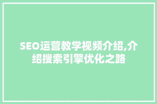 SEO运营教学视频介绍,介绍搜索引擎优化之路  第1张