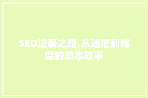 SEO逆袭之路,从迷茫到辉煌的励志故事