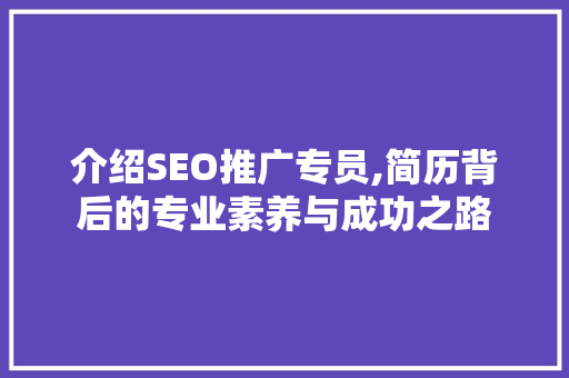 介绍SEO推广专员,简历背后的专业素养与成功之路