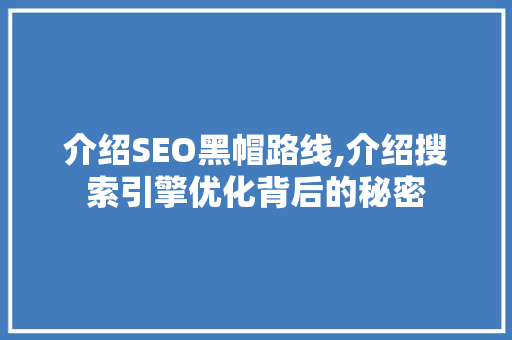 介绍SEO黑帽路线,介绍搜索引擎优化背后的秘密
