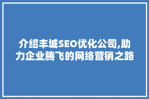 介绍丰城SEO优化公司,助力企业腾飞的网络营销之路