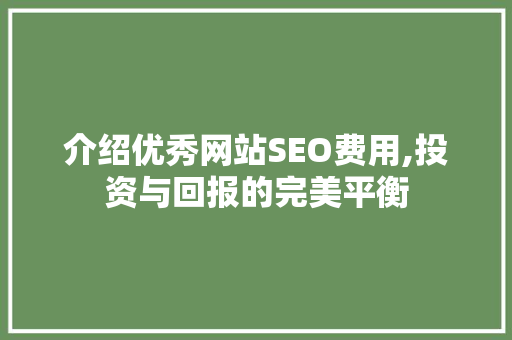 介绍优秀网站SEO费用,投资与回报的完美平衡