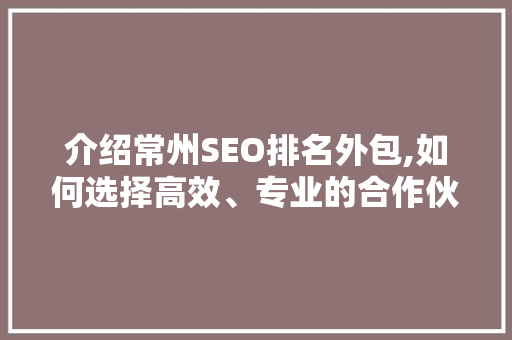 介绍常州SEO排名外包,如何选择高效、专业的合作伙伴