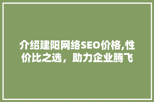 介绍建阳网络SEO价格,性价比之选，助力企业腾飞