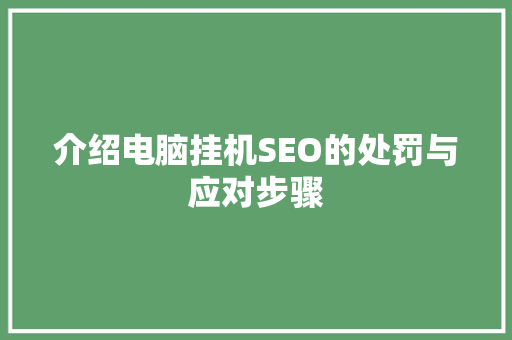 介绍电脑挂机SEO的处罚与应对步骤