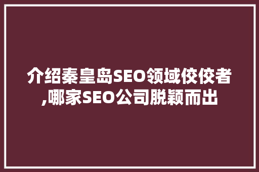介绍秦皇岛SEO领域佼佼者,哪家SEO公司脱颖而出