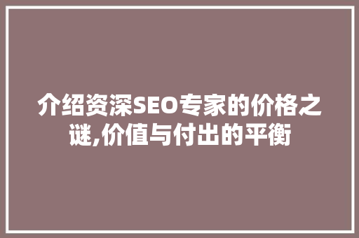 介绍资深SEO专家的价格之谜,价值与付出的平衡